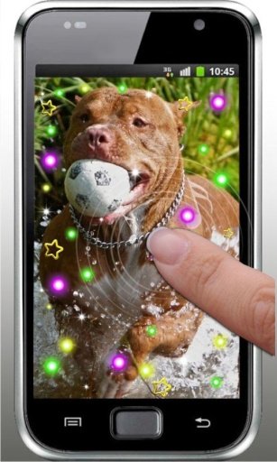 Friendly Dog live wallpaper截图1