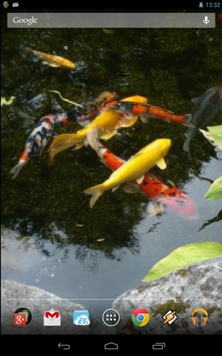 Realistic Koi. Live Wallpaper.截图5