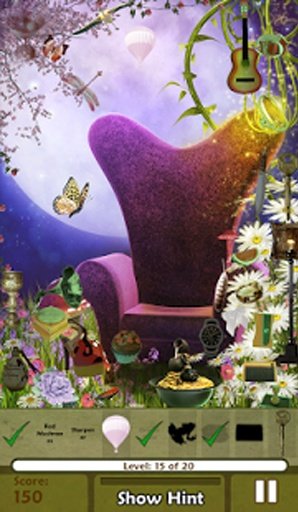 Hidden Object Blooming Gardens截图6