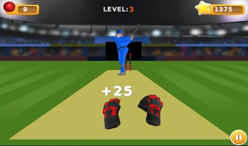 TapCatch Cricket 2截图7