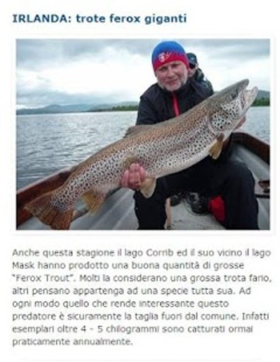 Mondo Pesca News截图3