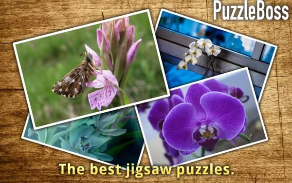 Orchid Flower Jigsaws FR...截图2