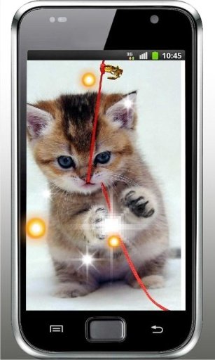 Kitty Gallery HD LiveWallpaper截图5