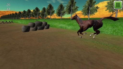 Horse Jumping 3D截图1