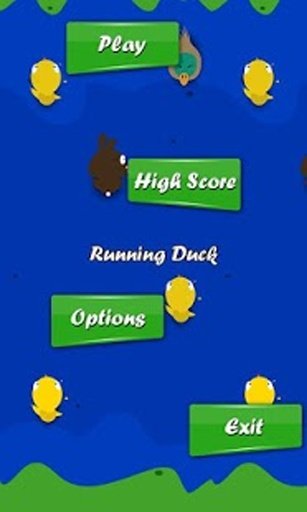 Running Duck截图2