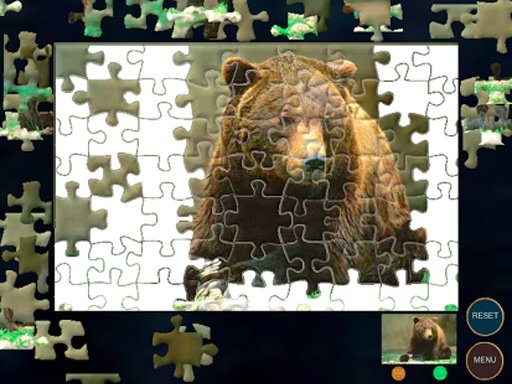 Brown Bear Jigsaw Puzzle截图7