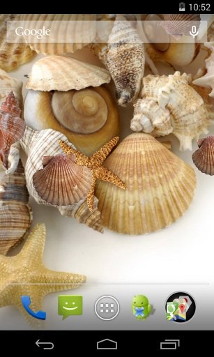 Sea shells Live Wallpaper截图4