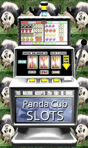 3D Panda Cub Slots - Free截图3