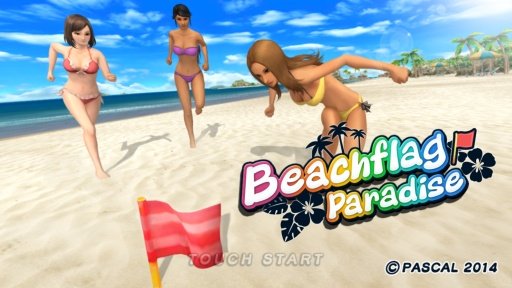 Beach Flag Paradise截图1