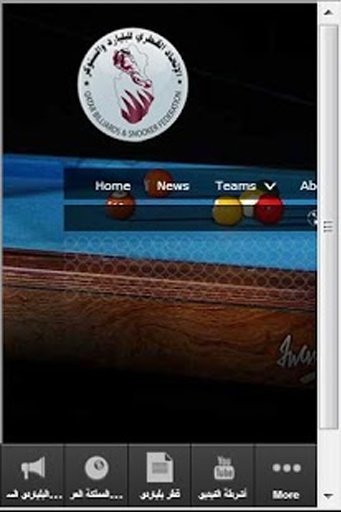 Arabian Billiards and Snooker截图4