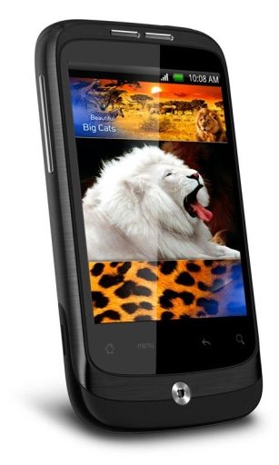 Lion Queen Savanna Best LWP截图4