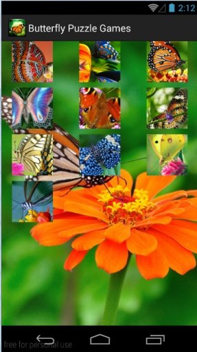 Butterfly Puzzle Games截图3