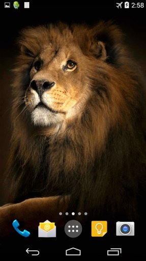 Lion 3D Live Wallpaper截图1