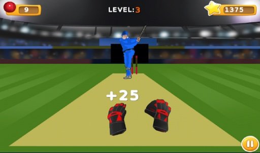 TapCatch Cricket 2截图6