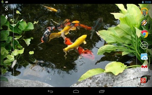 Realistic Koi. Live Wallpaper.截图3