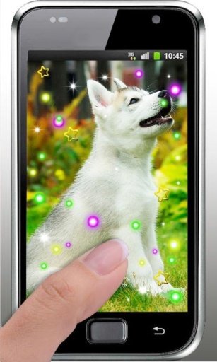 Friendly Dog live wallpaper截图4