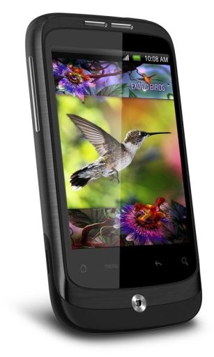 Colibri Game Live Wallpaper截图1