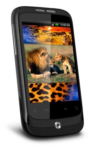 Lion Queen Savanna Best LWP截图2