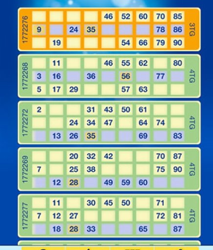 Mobile Bingo Games截图2