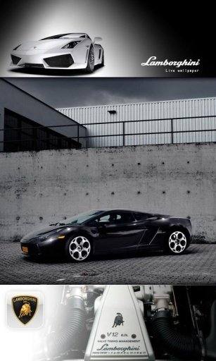 Lamborghini Test Drive HD LWP截图1