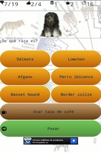 iQuiz perros y razas截图2