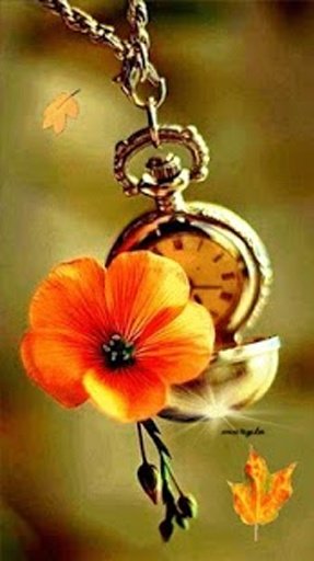 Clock Flower Live Wallpaper截图1