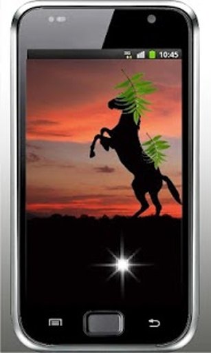 Horses Sunset live wallpaper截图4