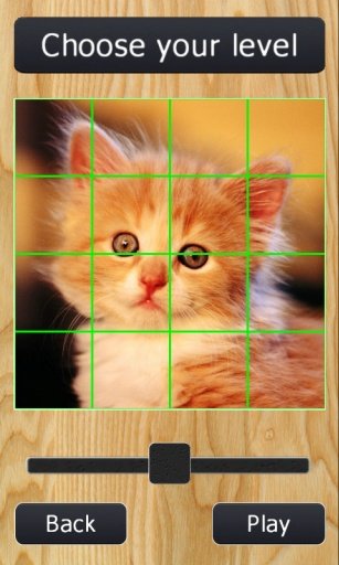 Little Cats Puzzles截图3