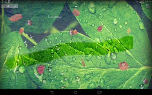 Rain Live Wallpaper HD截图2