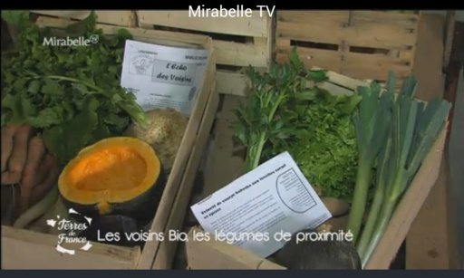 Watch TV - France截图2