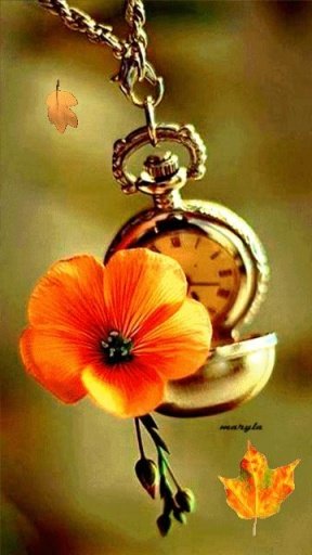 Clock Flower Live Wallpaper截图8