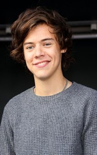 Harry Styles Games截图4