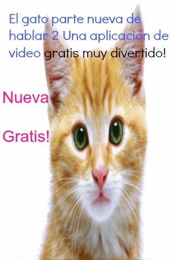 El gato que habla parte 2截图4