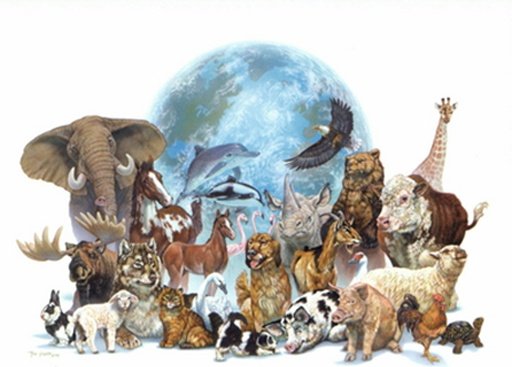 ANIMAL SONG截图3