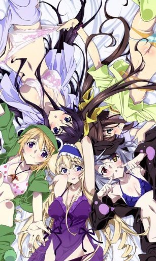 Infinite Stratos Wall Anime截图3