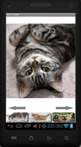 Cat Photo Sound Collection截图4