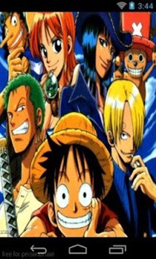 Straw Hat Team Fans Wallpaper截图1