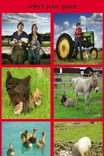 farm family story 2截图3