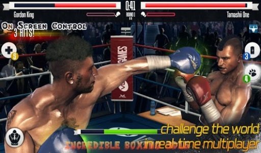 Incredible Boxing 3D15截图1