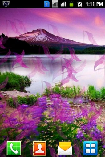 Feather Magic Touch Wallpaper截图11