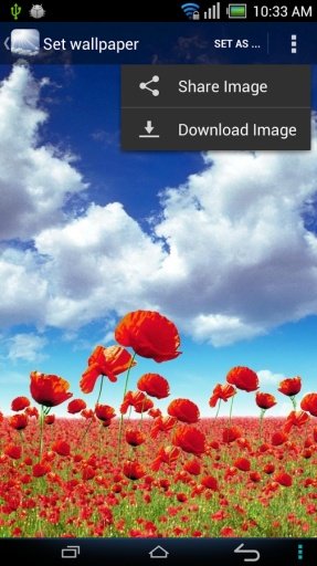 Sky Wallpapers截图2