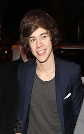 Harry Styles Games截图1