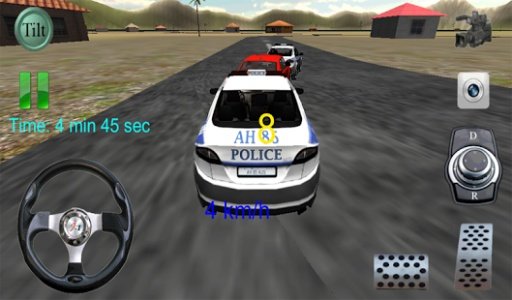 Police chase 3d unreal cops截图1