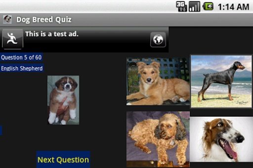 Dog Breed Quiz截图1