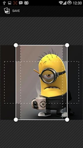 Minions Wallpaper Free截图1