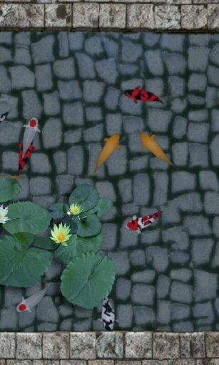 Koi Fish Pond 3D Livewallpaper截图1