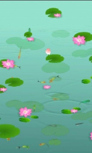 Koi Fish Pond 3D Livewallpaper截图2