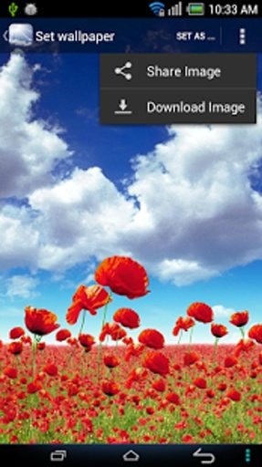 Sky Wallpapers截图1