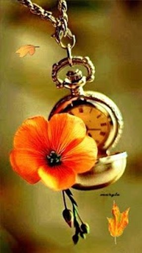 Clock Flower Live Wallpaper截图5