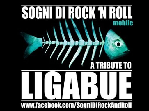 Sogni di Rock'n'Roll截图1